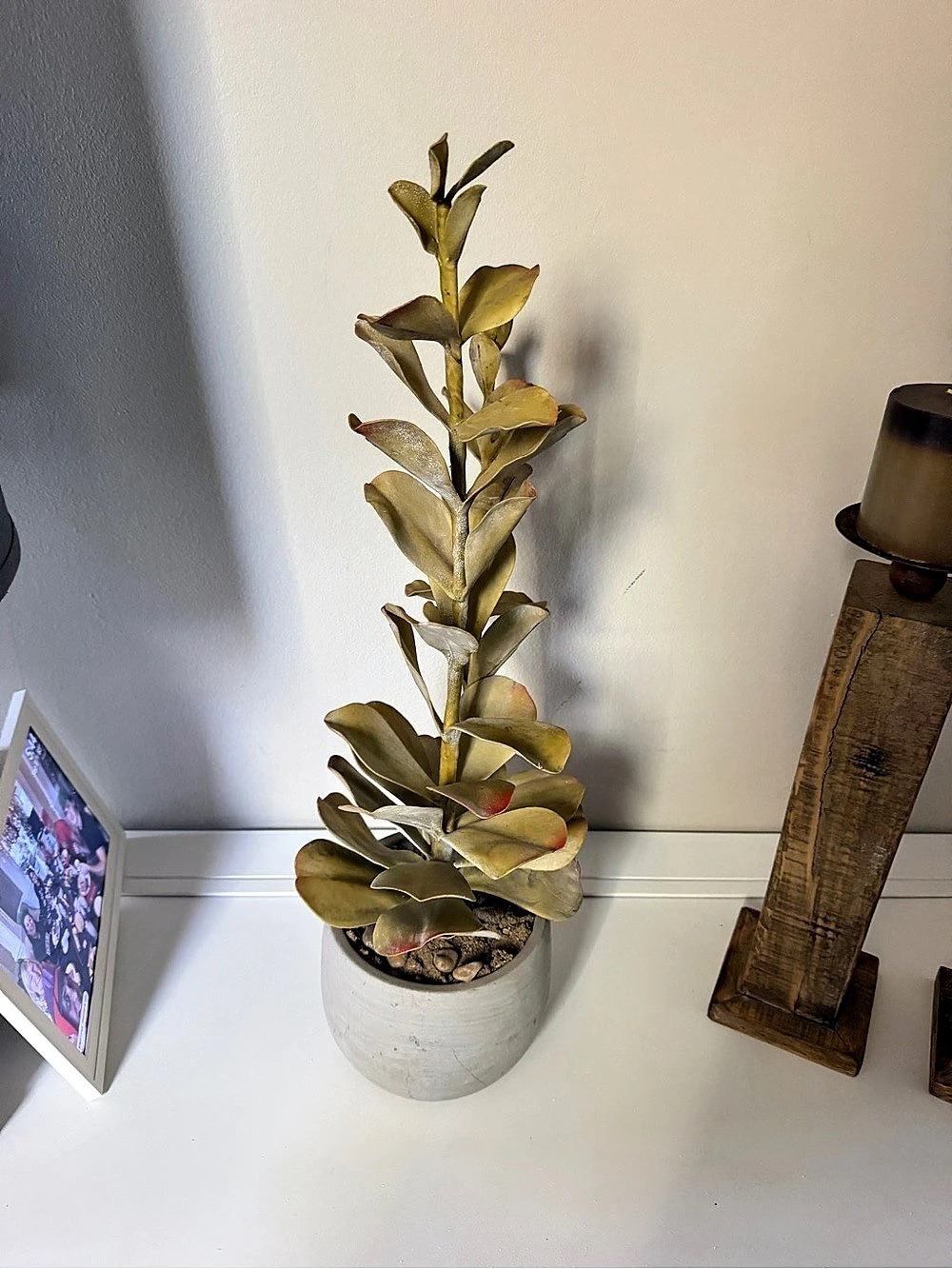 Faux Plant in Planter Green & Brown